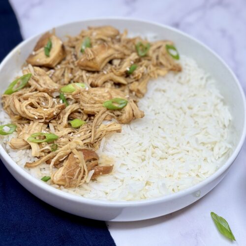 Teriyaki Chicken - slow cooker, pressure cooker, freezer meal prep