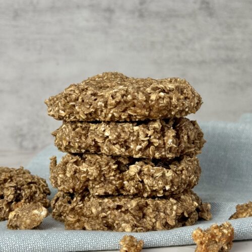 Freezer Friendly Power Oat Breakfast Cookie